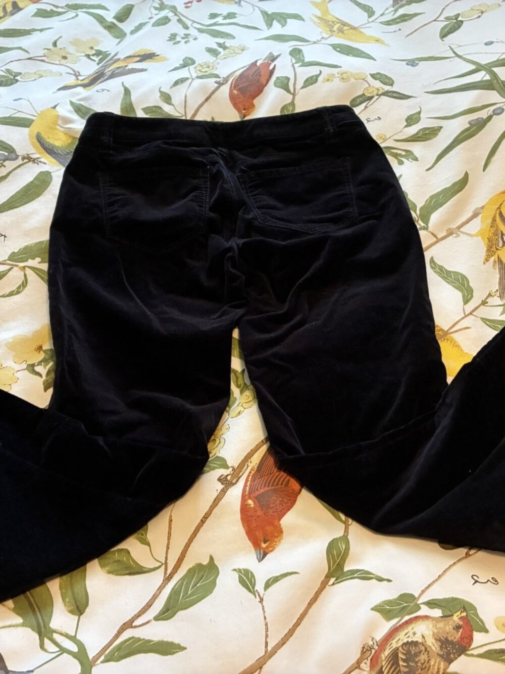 Ann Taylor black velour skinny jeans size 2 preloved